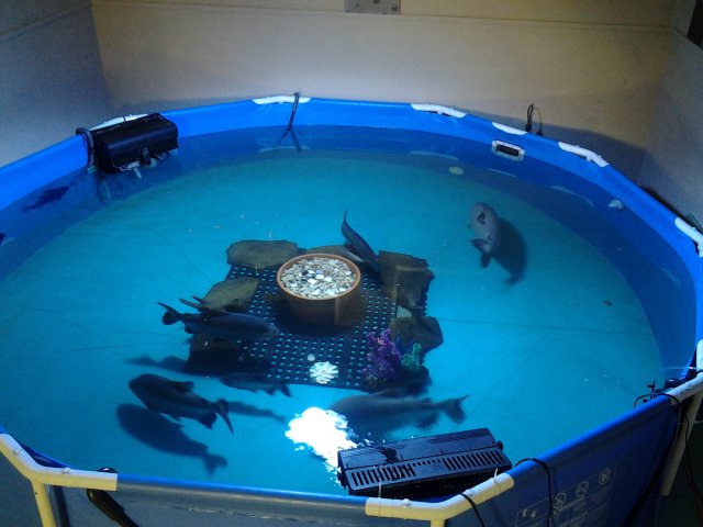 20150603_180657.jpg 20150603_180657.jpg