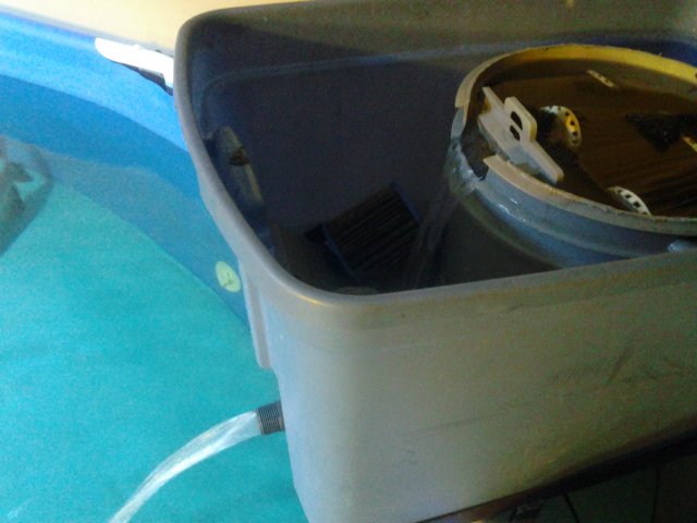 20150606_172220.jpg 20150606_172220.jpg