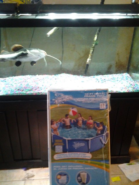 20150501_174108.jpg 20150501_174108.jpg