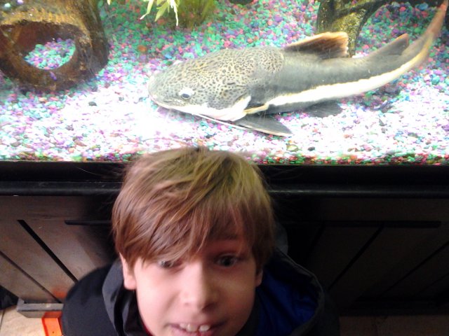 20150220_125501.jpg 20150220_125501.jpg