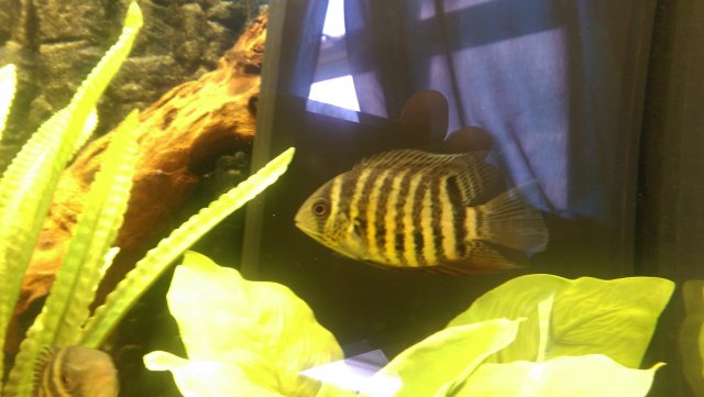 IMAG0156.jpg
