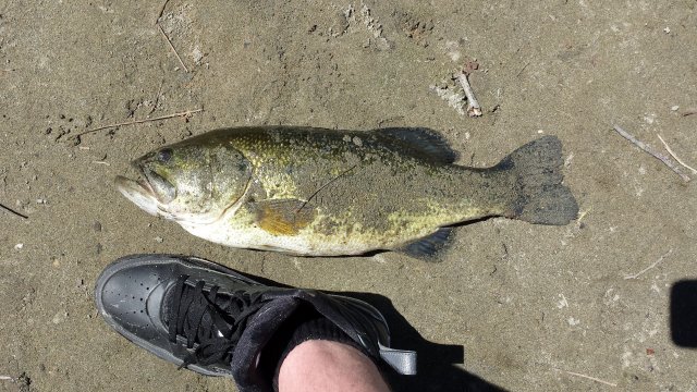 20150608_132334.jpg
