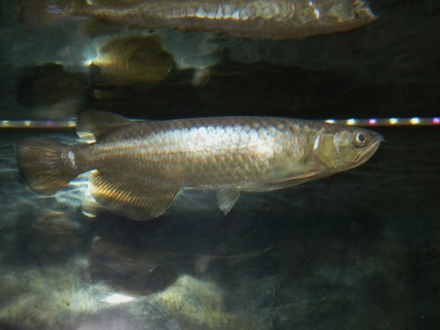 005.JPG
