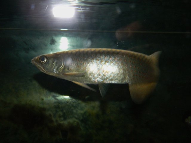 011.JPG