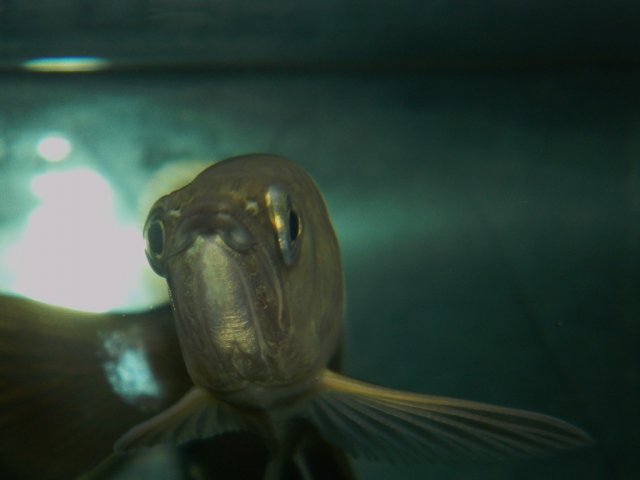 012.JPG