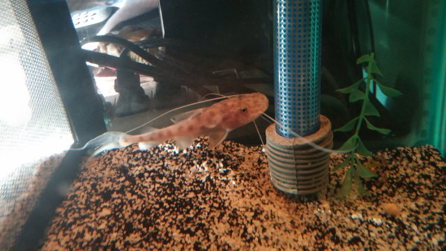 0610150714b.jpg 0610150714b.jpg