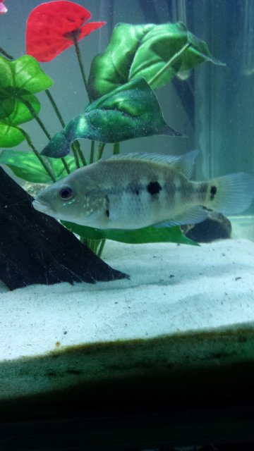 1434177745312-1759152035.jpg 1434177745312-1759152035.jpg