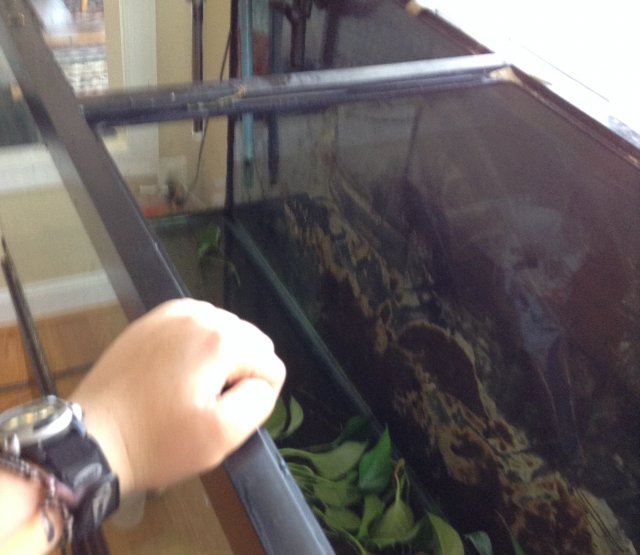 empty 120 1 8:14:25 300 move.JPG