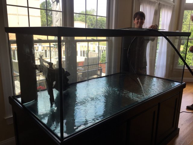 300 gallon and me 8:14.JPG