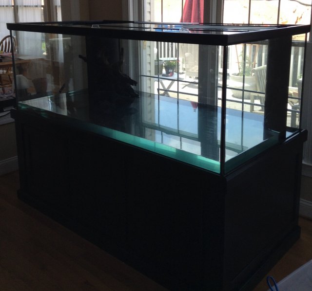 300 in place 1 8:14:15.jpeg