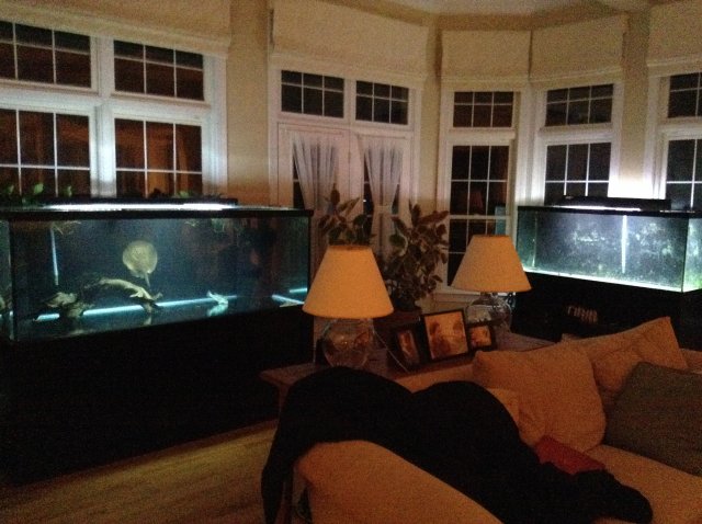 full living room view 6:15:15.JPG