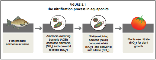 figure 5.1.png figure 5.1.png