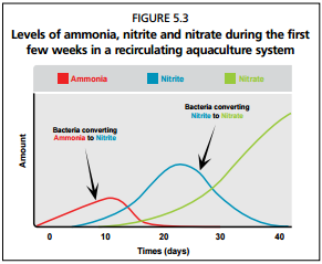 Figure 5.3.png Figure 5.3.png