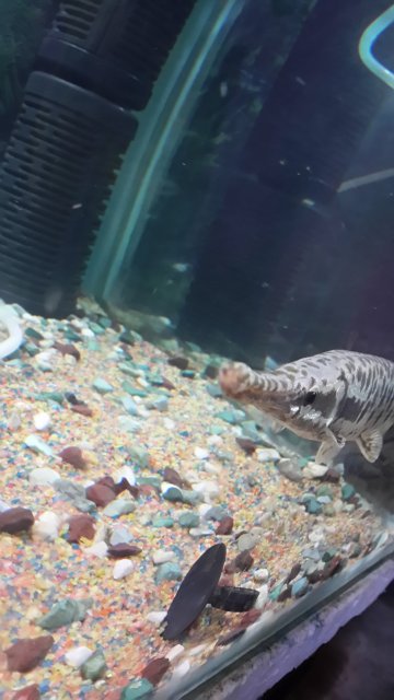 20150617_092014.jpg 20150617_092014.jpg