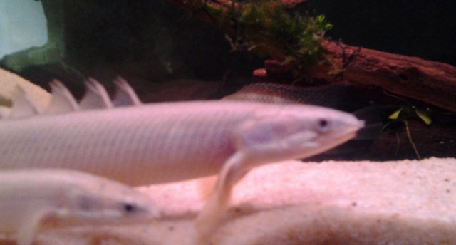20150619_100556.jpg