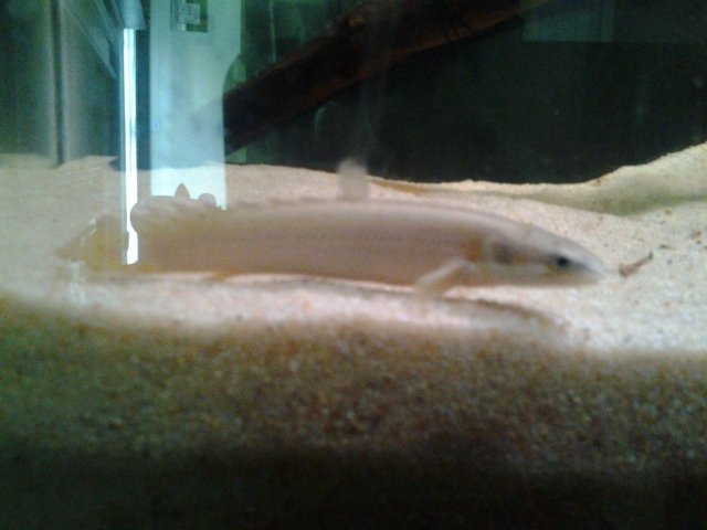 20150619_095846.jpg