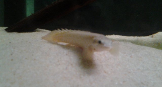 20150619_095451.jpg