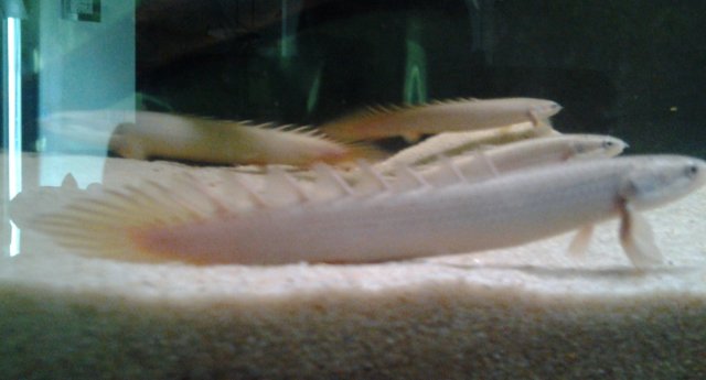20150619_094511.jpg
