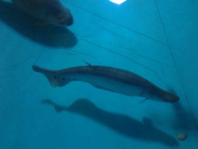 20150604_101505.jpg 20150604_101505.jpg