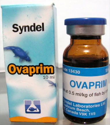 ovaprim.jpg