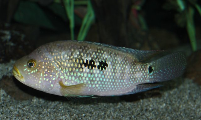 2012 07_06 copy.JPG