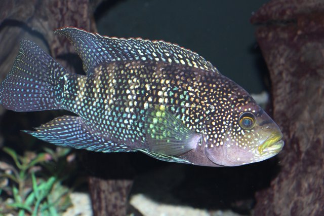 2015 04_04 copy.JPG