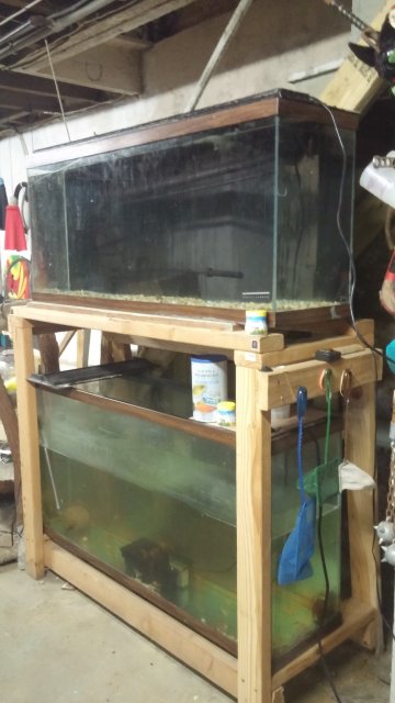 20150622_142158.jpg