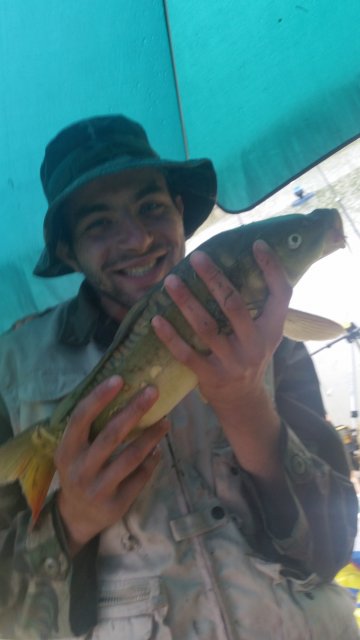 20150620_164649.jpg