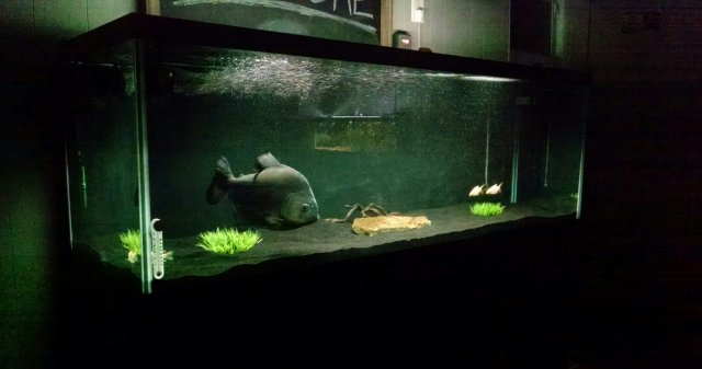 _20150509_221045.JPG