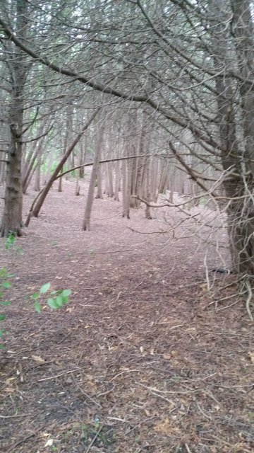20150622_185650.jpg