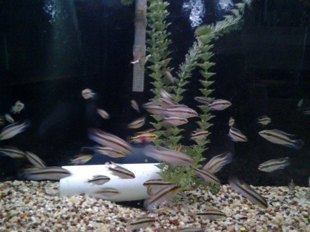 20150625_131716.jpg
