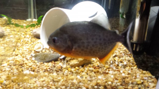 20150626_160853.jpg