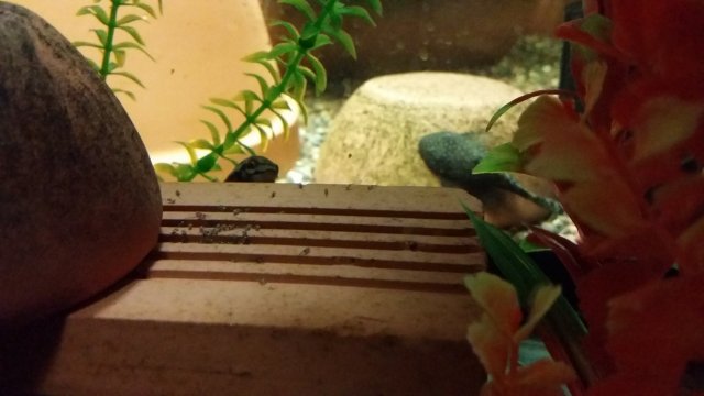 20150626_182020.jpg