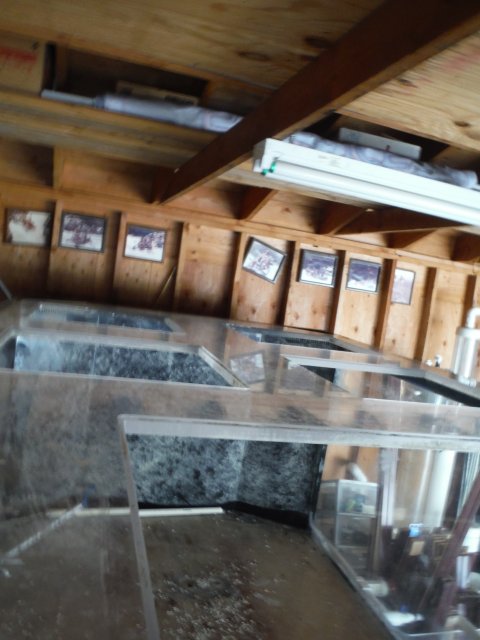 2000 Gallon 018.JPG 2000 Gallon 018.JPG