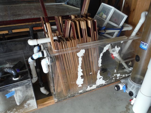 2000 Gallon 011.JPG 2000 Gallon 011.JPG