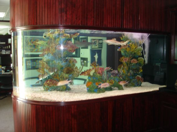 sages 1800 (1).jpg sages 1800 (1).jpg