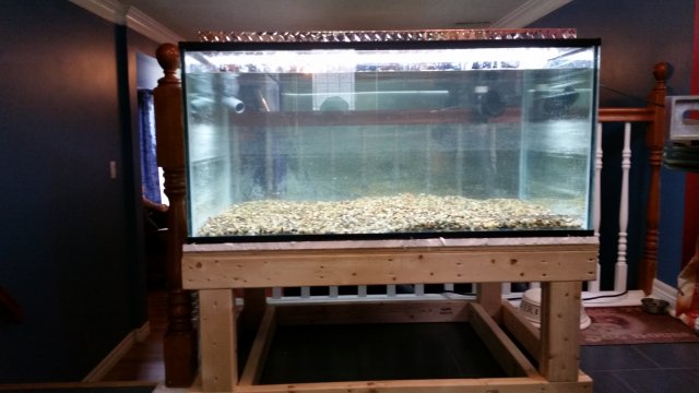 20150628_171058.jpg