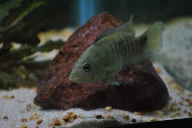 DSC_0140.JPG