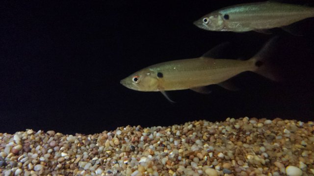 20150704_003815.jpg