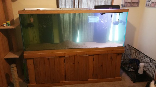 20150704_144307.jpg 20150704_144307.jpg