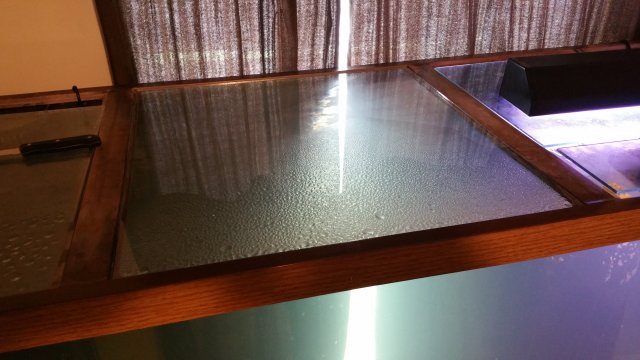 20150704_144345.jpg 20150704_144345.jpg