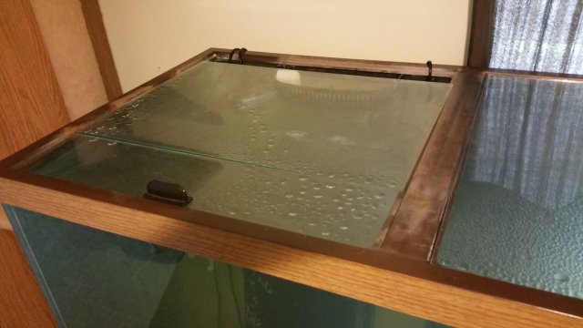 20150704_144351 (1).jpg 20150704_144351 (1).jpg