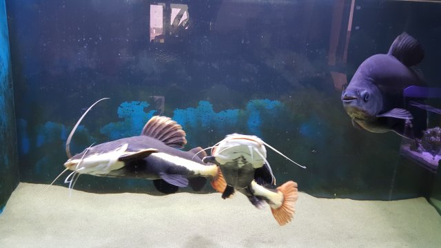 20150429_155753.jpg