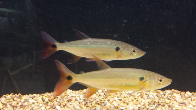 20150704_182726.jpg