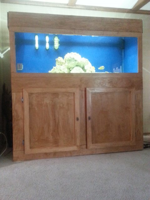 20150705_152535.jpg 20150705_152535.jpg