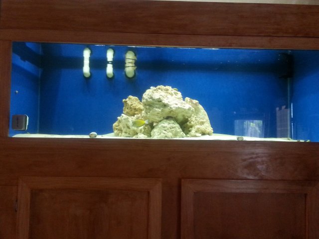 20150705_152557.jpg 20150705_152557.jpg