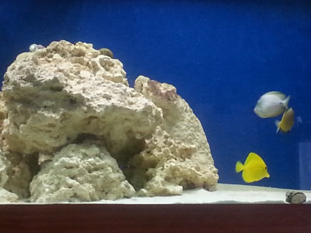 20150705_152616.jpg 20150705_152616.jpg