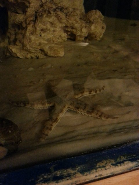 20150625_214454.jpg 20150625_214454.jpg