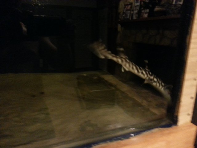 20150626_060426.jpg 20150626_060426.jpg