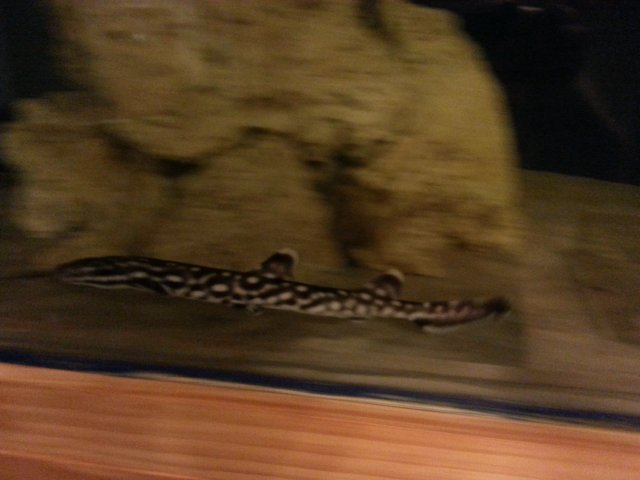 20150626_060452.jpg 20150626_060452.jpg